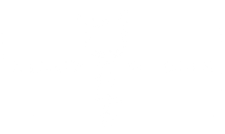 MMD Store